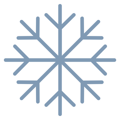 Blue Snowflake Icon